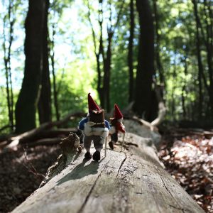 De sprookjesfiguren Bretta en Kynthelig lopend over een boomstam. 